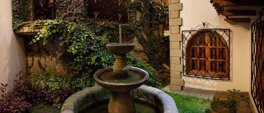 Zahrada ubytování Maimara Hotel