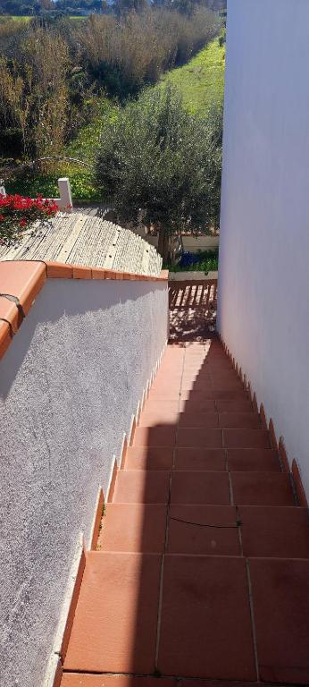 Casa Bouganville a Calasetta - Spazioso appartamento vista mare