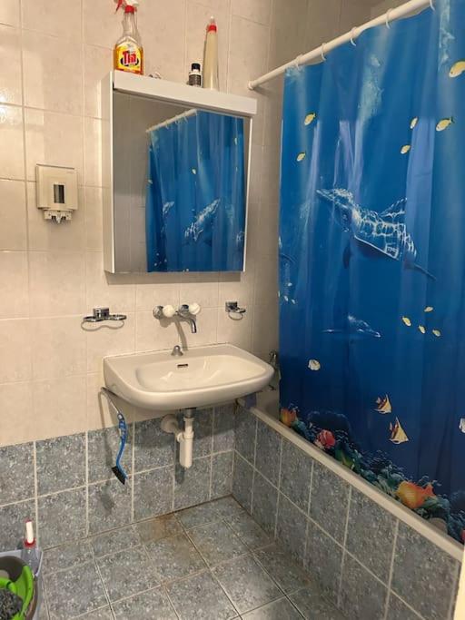 Koupelna v ubytování 名门小屋