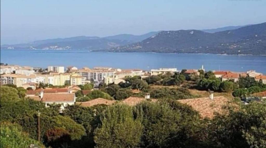 Příroda nedaleko apartmánu