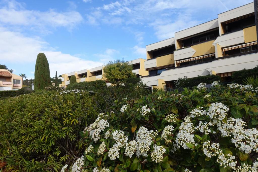 Charme méditerranée vue mer piscine terrasse clim parking gratuit - Appartement 1 Chambre