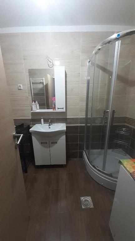 een badkamer met een douche en een wastafel bij DUNAV 1 in Smederevo