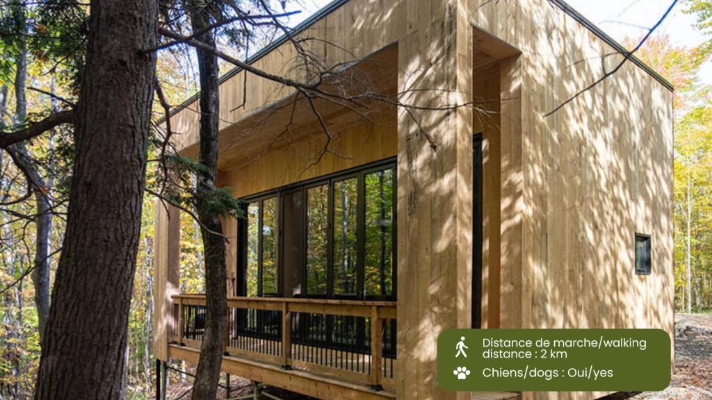 een huis in het bos met een veranda rondom bij Cabin Zoobox 62 in Eastman