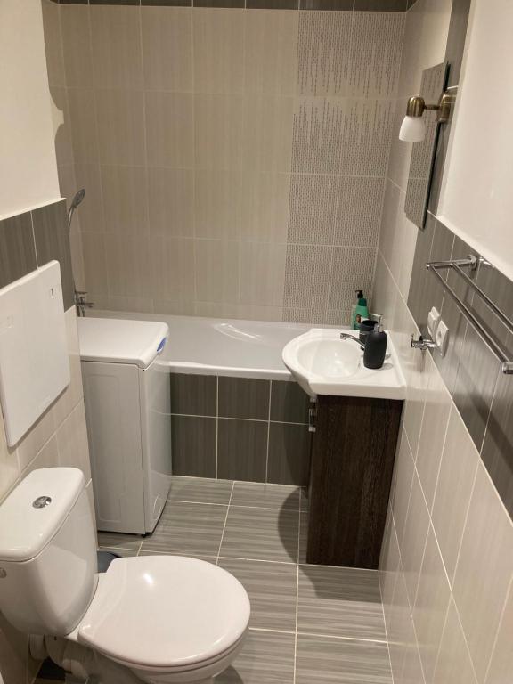 ミハロフツェにあるApartmán neďaleko centra mestaのトイレ、洗面台、浴槽を備えたバスルーム