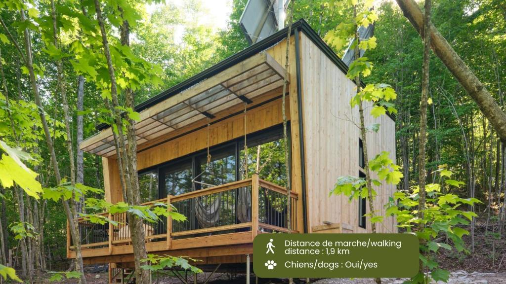 a tree house in the middle of the forest at Cabin Zoobox 69 in Eastman