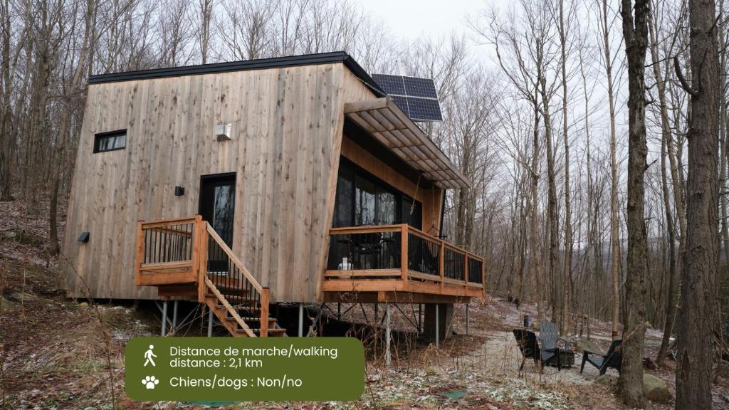 una pequeña casa de madera en medio del bosque en Cabin Zoobox 77, en Eastman