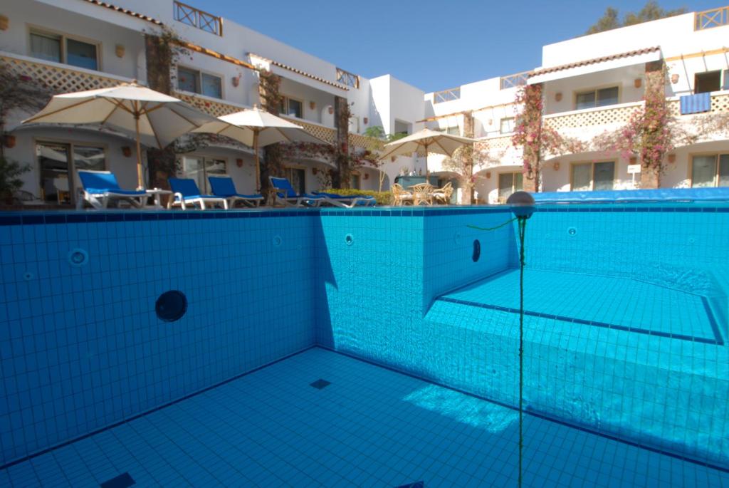 Bazén v ubytování Camel Dive Club & Hotel - Boutique Hotel nebo v jeho okolí