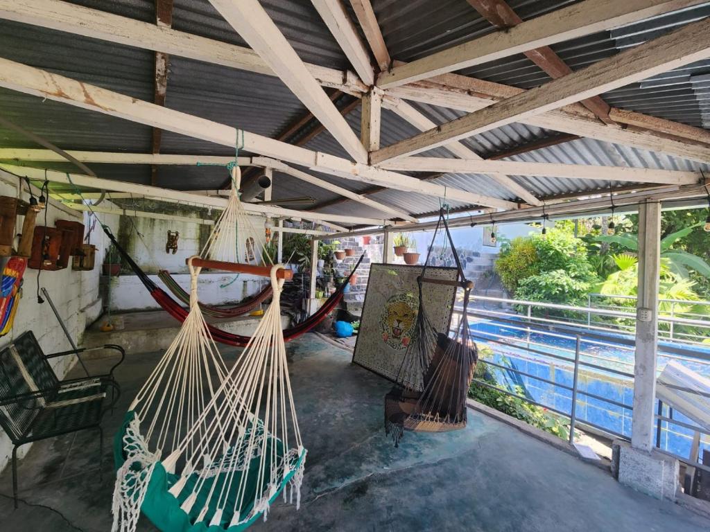Cette chambre dispose de hamacs suspendus au plafond. dans l'établissement Garden Hostel Tingo María, à Tingo María