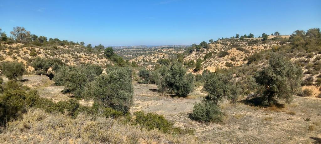 Natuurlandschap vlak bij de camping