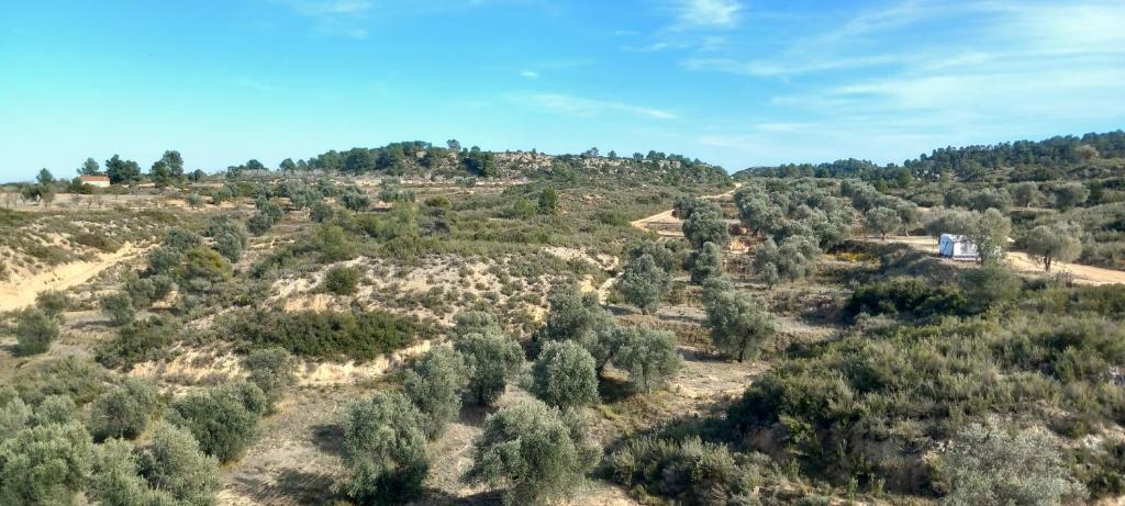Natuurlandschap vlak bij de camping