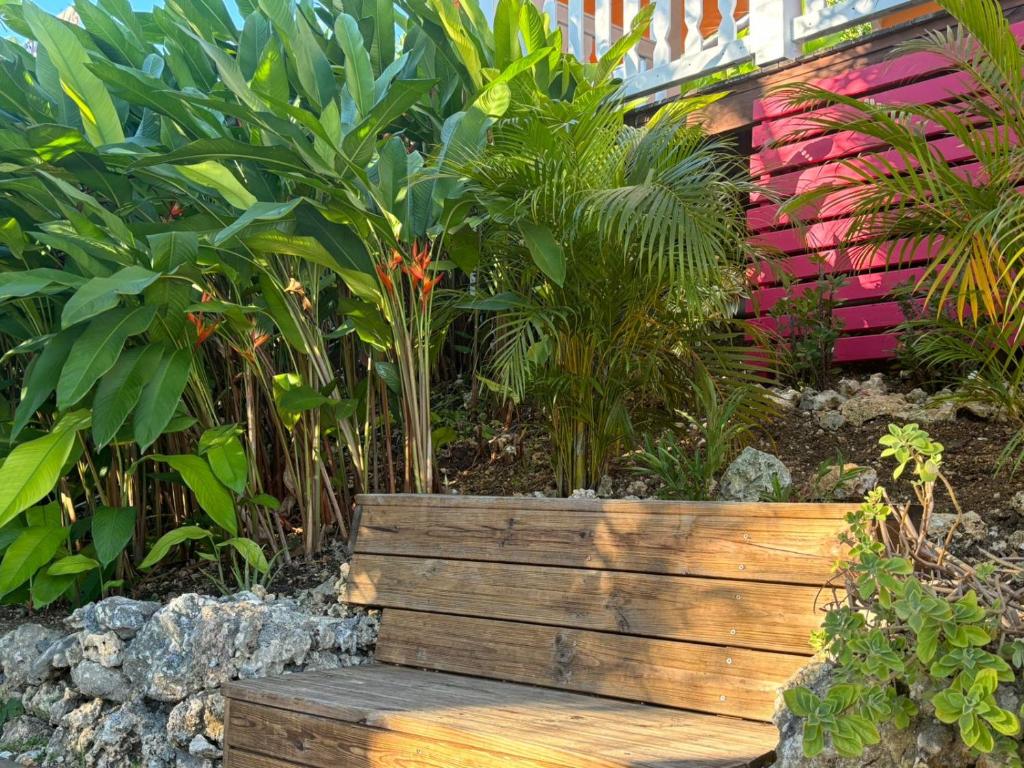Zahrada ubytování L'escale Tropicale
