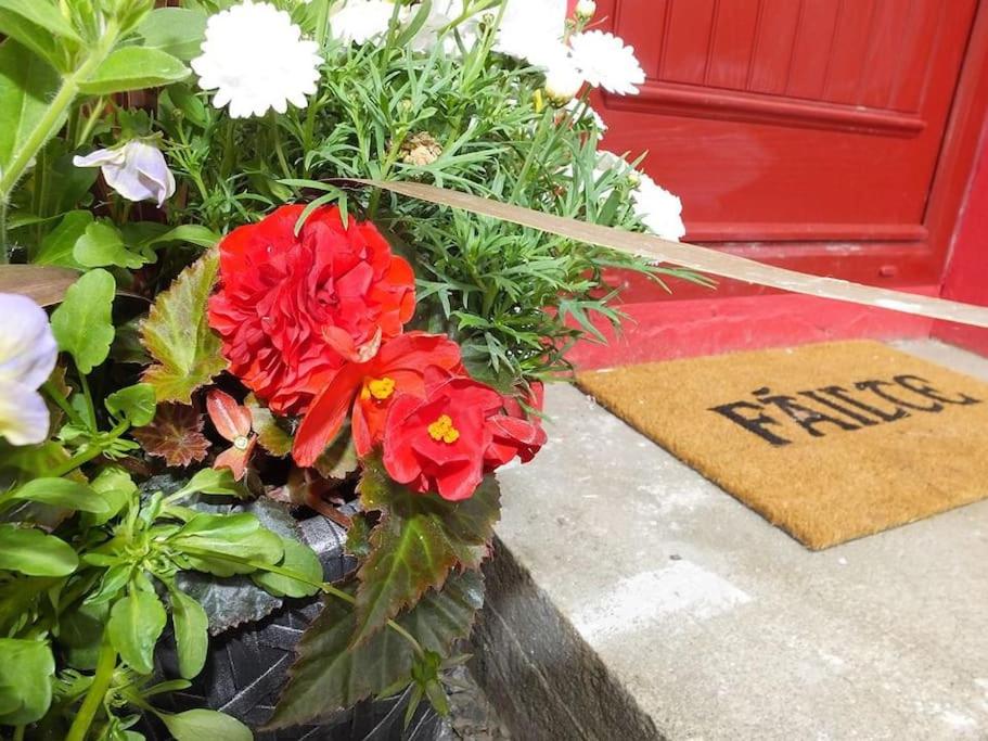 een boeket bloemen voor een rode deur bij The Cosy Farm Cottage, Donegal in Inver