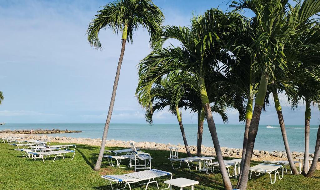 a group of tables and palm trees on the beach at Paradise awaits you at Key Colony Beach in Key Colony Beach