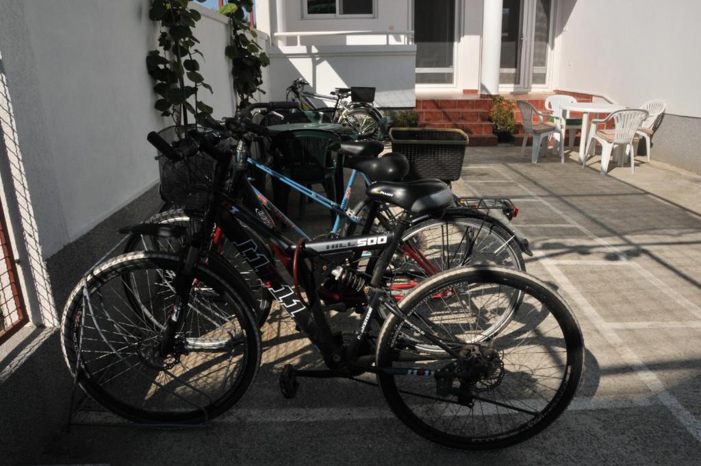 Jízda na kole v ubytování Guest House Nura nebo okolí