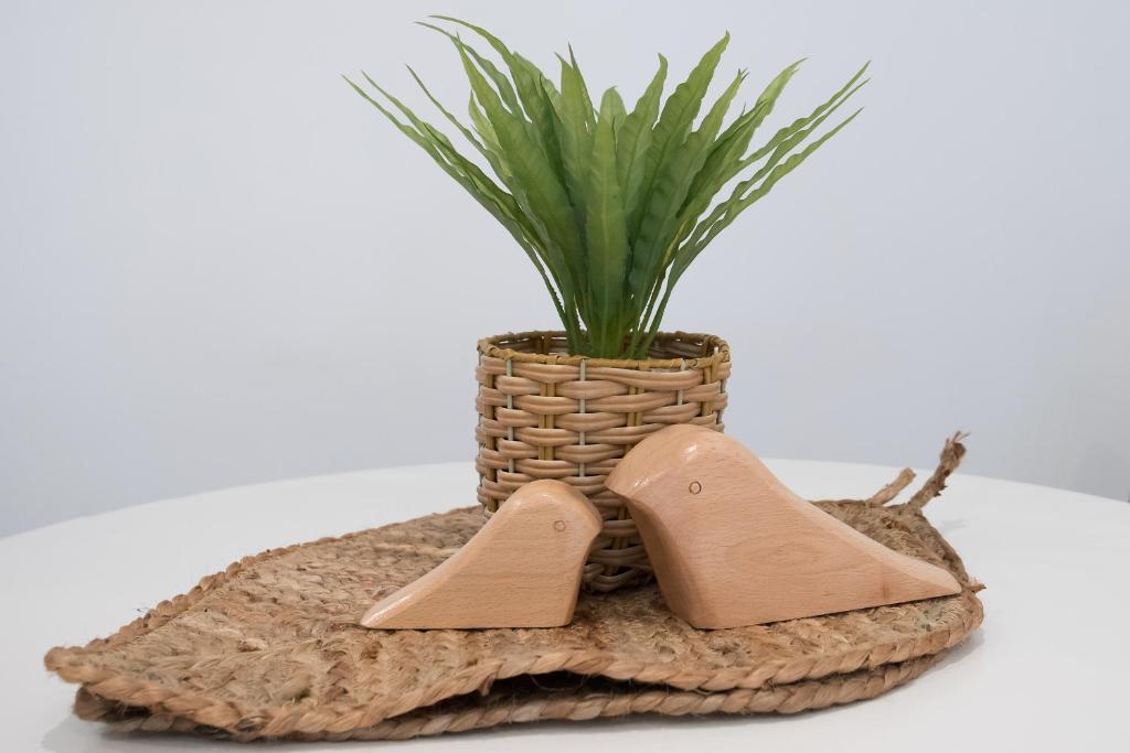 Modern Stylish New 3 Mins CBD - Resim 18