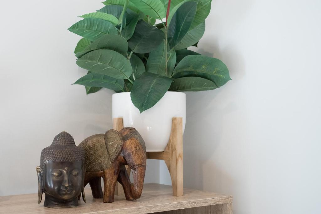 Modern Stylish New 3 Mins CBD - Resim 19