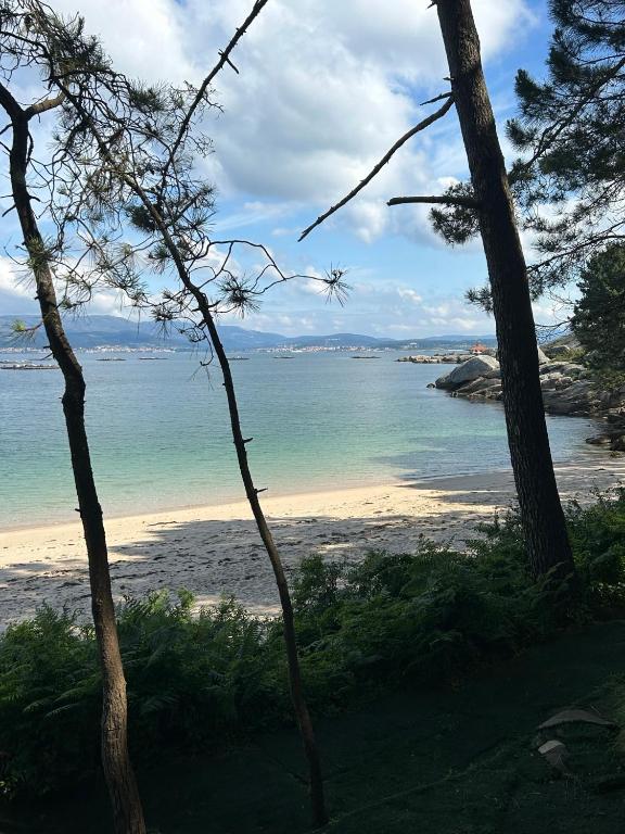 a view of a beach with trees and the ocean at La Isla in Isla de Arosa