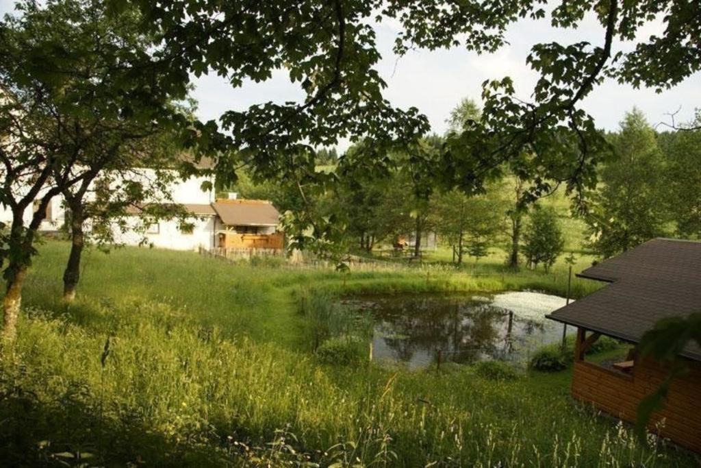 a pond in a field with a house in the background at Große Ferienwohnung in Siegmundsburg mit Garten und Grill in Siegmundsburg