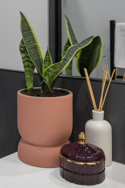 Simply The Best CBD 3 Mins Plus Garage - Resim 12