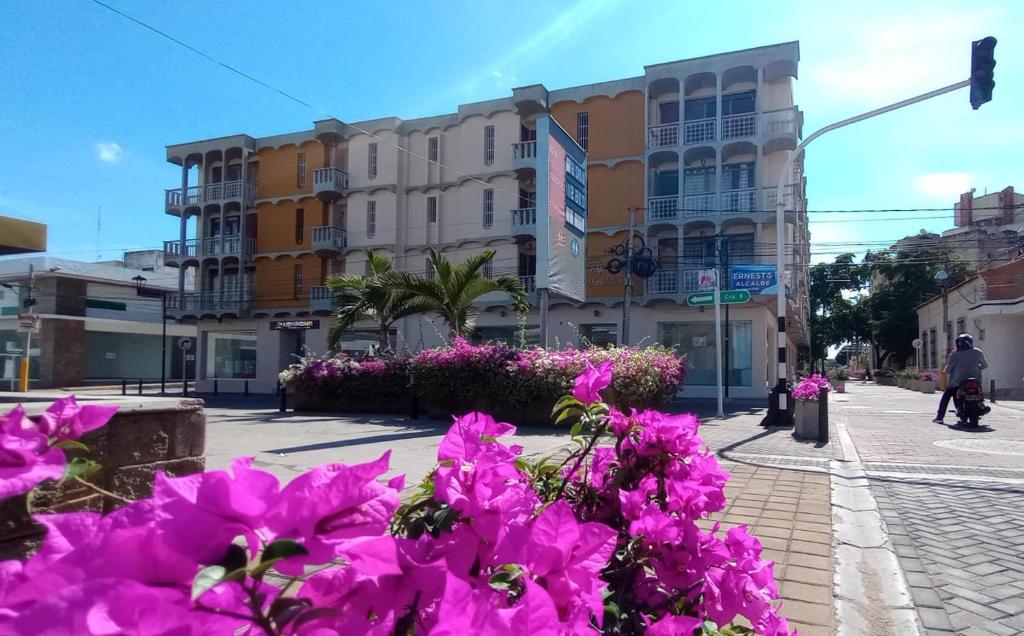 een straat met roze bloemen voor een gebouw bij Apartamentos Flowers House in Valledupar