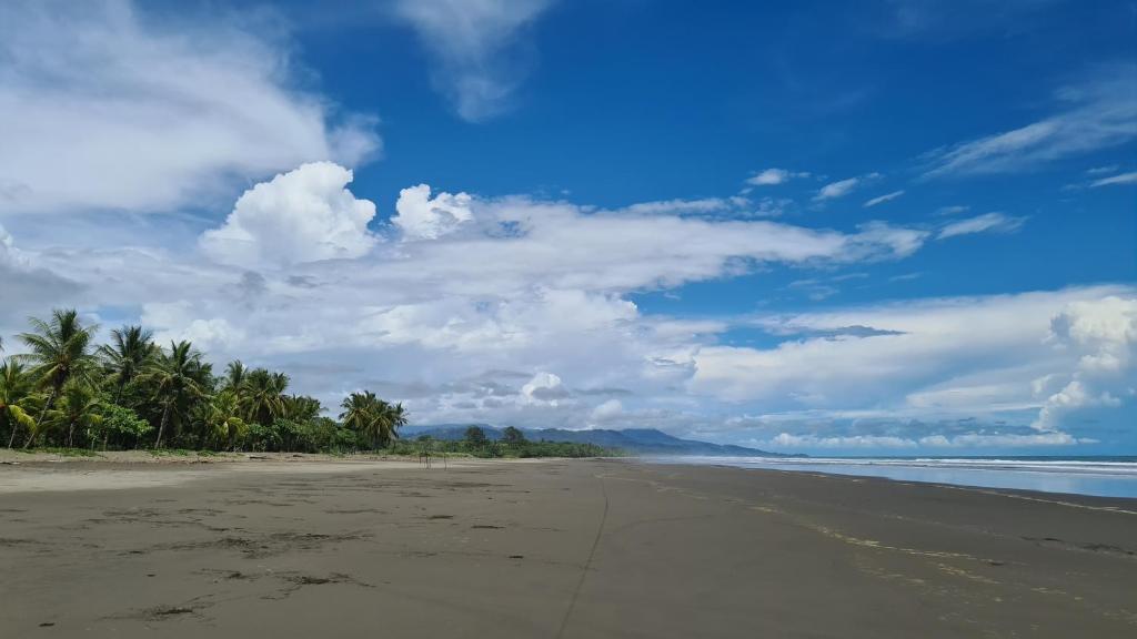 COCO Beach Village - Deluxe King Studio