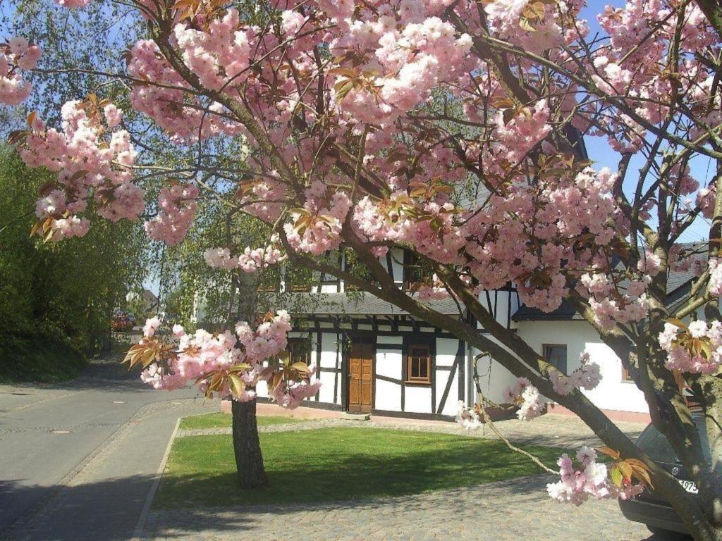 un árbol con flores rosas delante de un edificio en Romantisches Fachwerkhaus zwischen Rhein und Mosel, en Beltheim