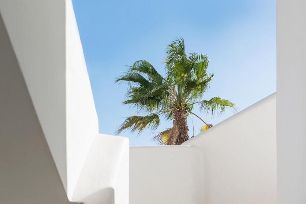 a palm tree in the middle of a white wall at Bossa Collection Suites in Playa d'en Bossa