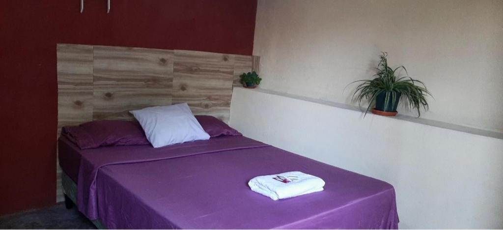 a bedroom with a purple bed with a plant on it at Casa Zoila Hospedaje in Flores