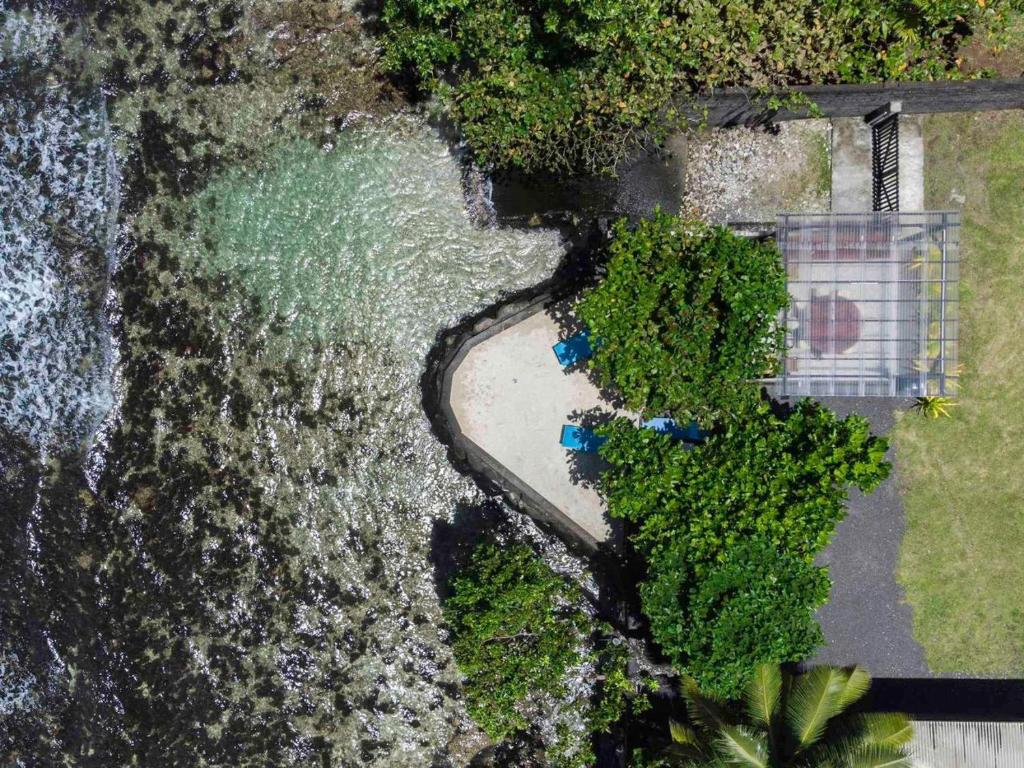 MOTU NONO HOUSE - photo 3 - Tahiti, Polynésie