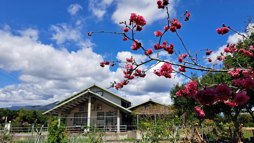 日光田居一館 室外花園