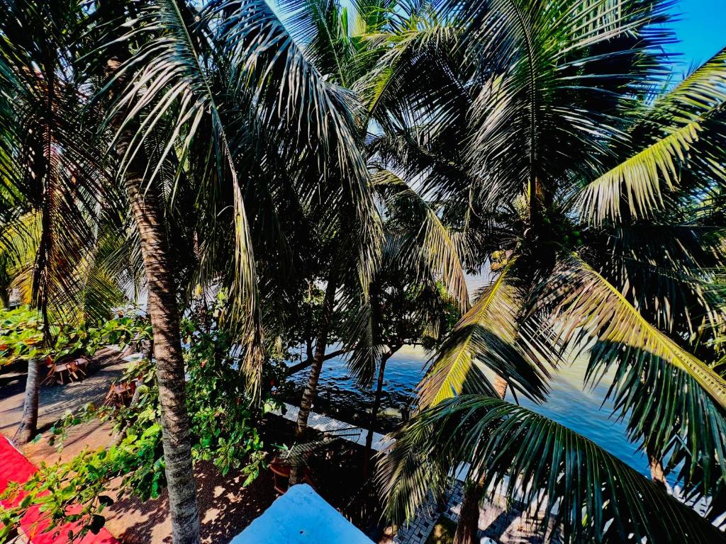 duas palmeiras numa praia perto da água em Touch Down Family Restaurant & hotel em Katunayaka