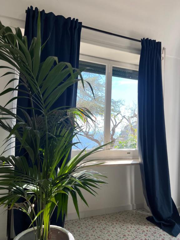 Fotografie z fotogalerie ubytování Casa Bella Capri v Capri