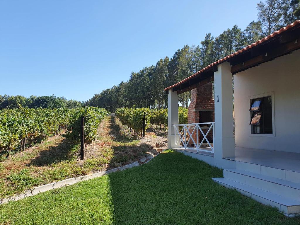 a view of a vineyard from the side of a house at Mon Rêve Estate in Cape Town