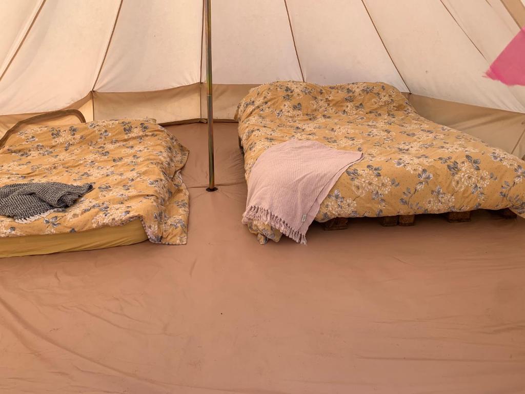 two beds sitting inside of a tent at Penn Meadow Farm in Buckinghamshire
