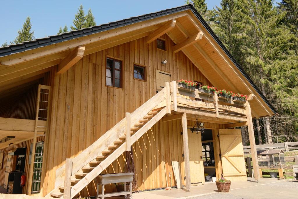 uma casa de madeira com uma escada de madeira em Ferienwohnung Werraquell Hütte em Masserberg