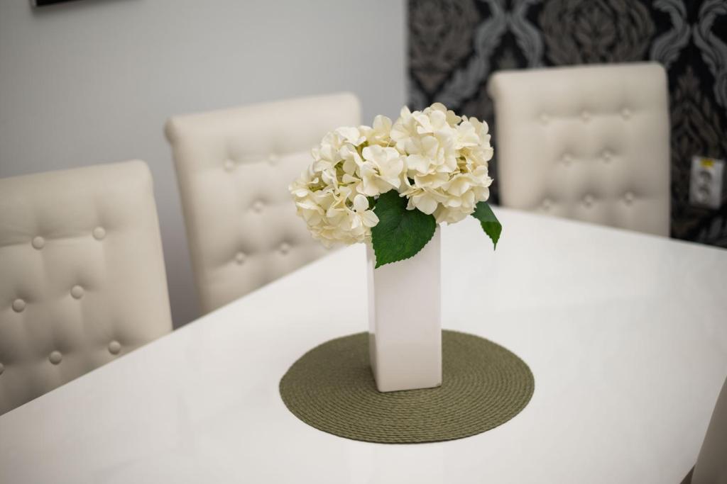 Fotografie z fotogalerie ubytování Apartment Primula v destinaci Subotica