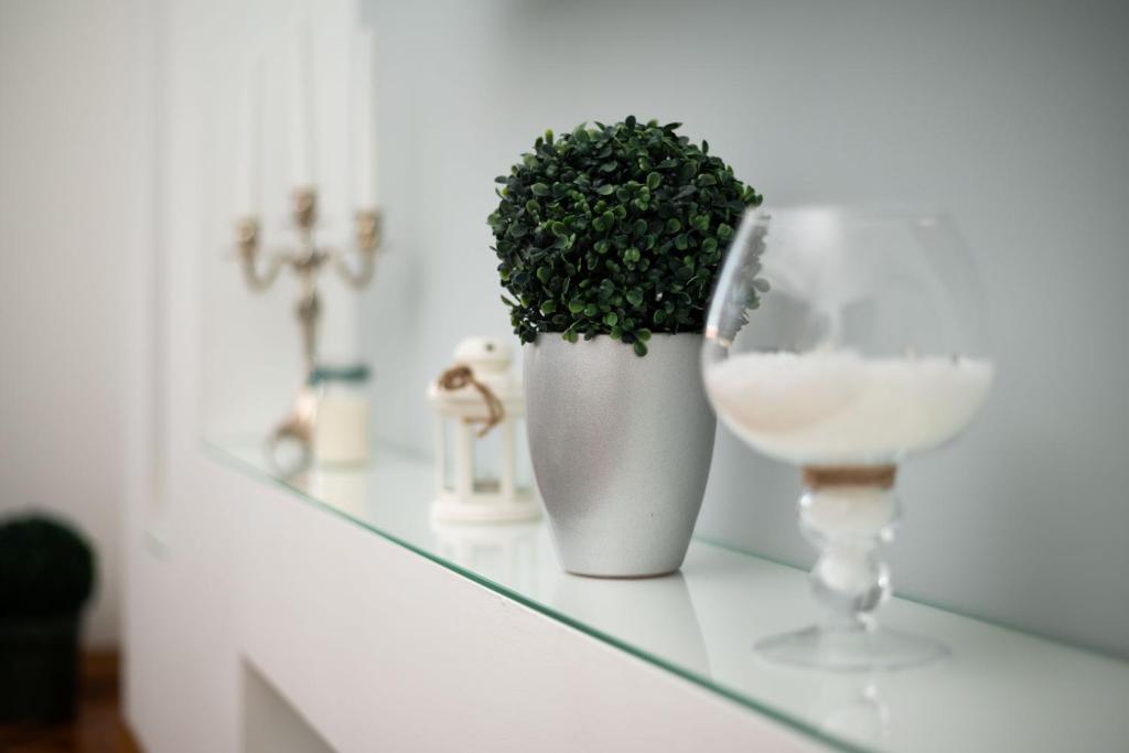 Nápoje v ubytování Apartment Primula