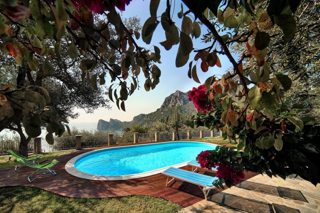 uma piscina num quintal com um banco e flores em Relais Mamma Mia em Massa Lubrense