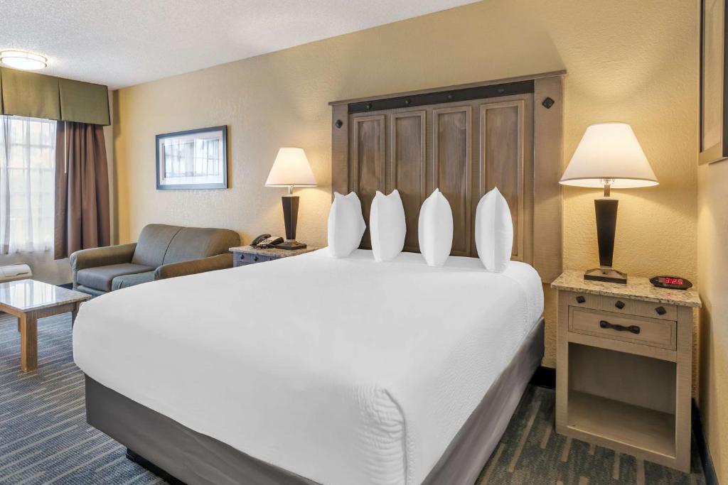 Best Western Americana Inn - Queen Room