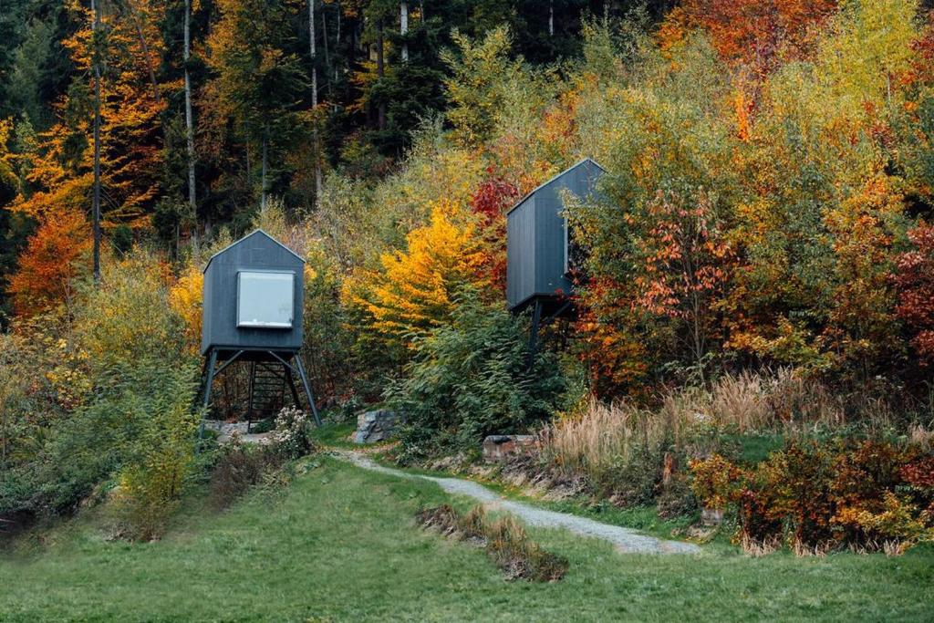a tv sitting in the middle of a forest at Hrad Kunzov Glamping & SPA & Restaurant in Přerov