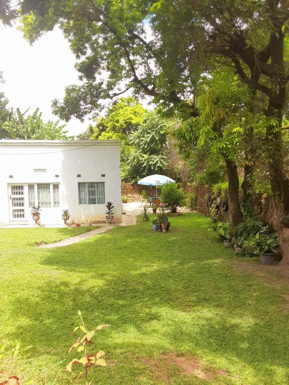 a yard with a white house and a tree at KMK APARTMENTS in Kitwe