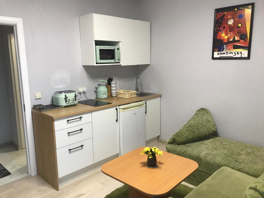 Apartamentai pas Reginą - 两居室公寓 -  Pirties Street 4G