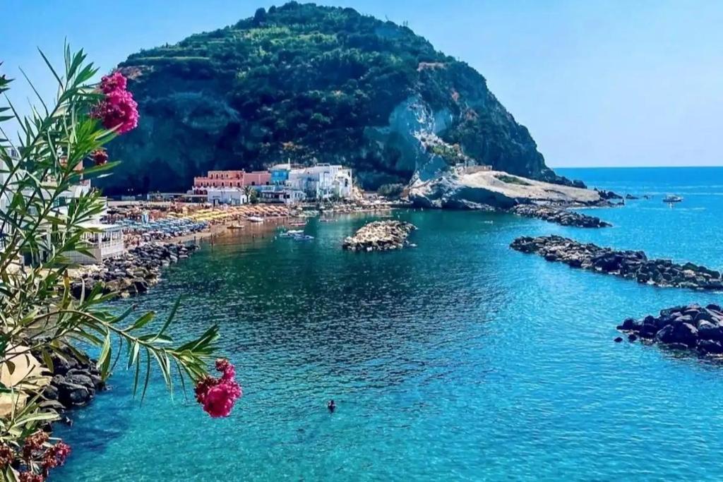 - une vue sur une plage d'eau bleue et de fleurs dans l'établissement BeachFront House - Sant'Angelo Ischia, à Ischia
