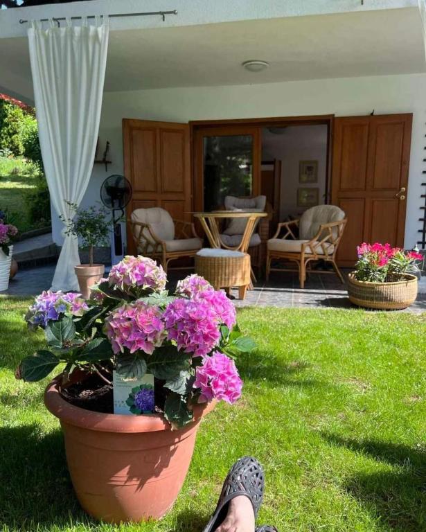 a person sitting on the grass with a pot of flowers at Garden House in Sarajevo