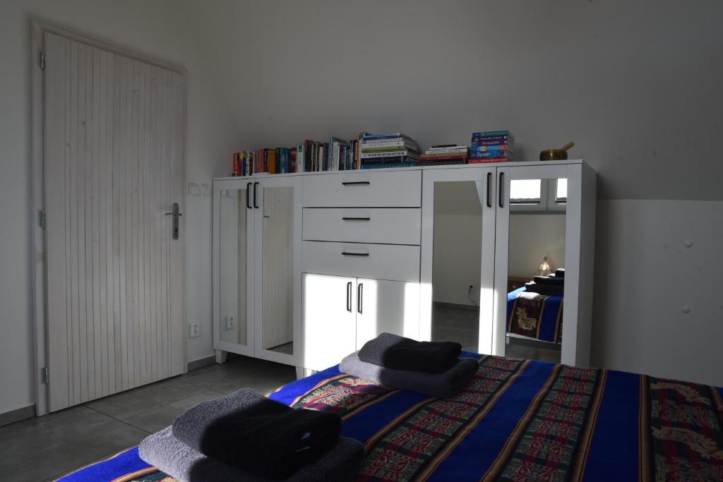 Knihovna v apartmánu