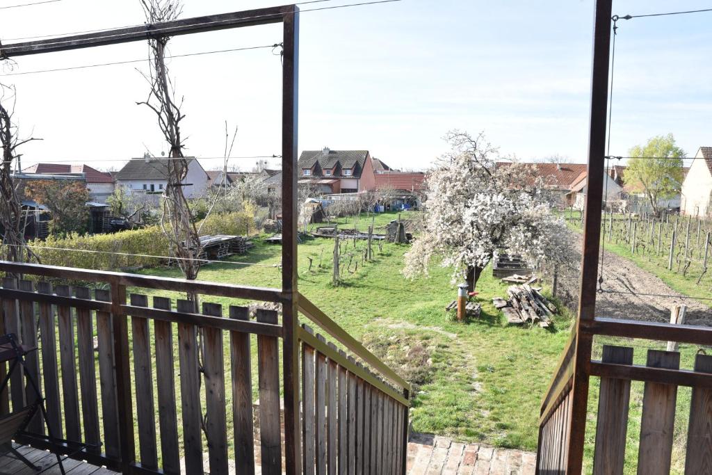 Zahrada ubytování Vila Vlaštovka