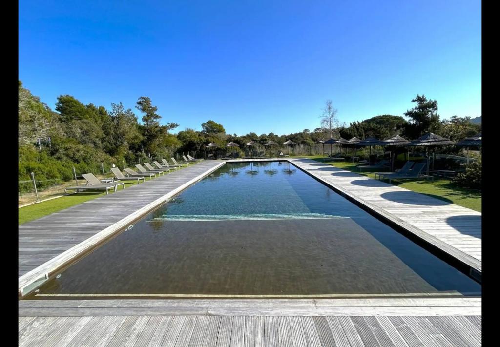 une grande piscine avec chaises et parasols dans l'établissement Residence Cala Sultana -Baie Santa Giulia - rez jardin 1ere ligne, à Porto-Vecchio