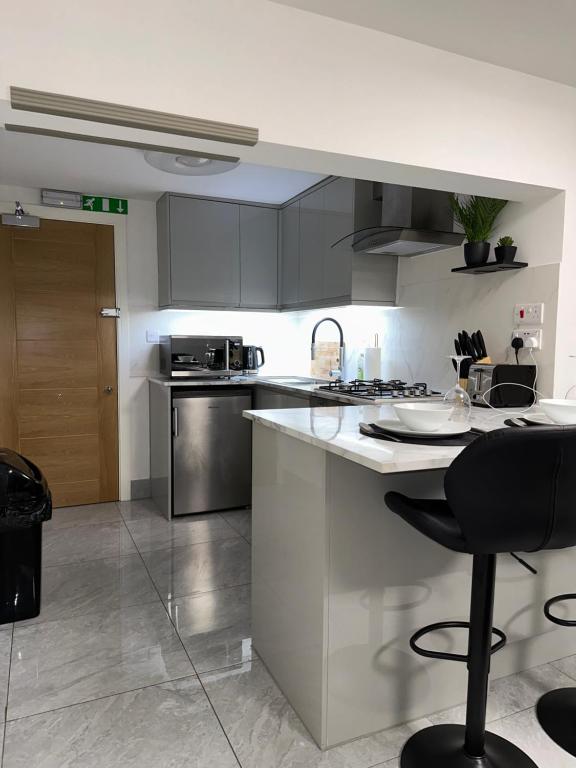 a kitchen with stainless steel appliances and a counter at Stylish entire 2bed apartment in London