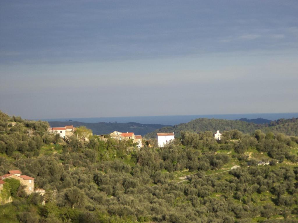 une ville au sommet d'une colline avec des arbres dans l'établissement Casa del Pastore, à Stellanello