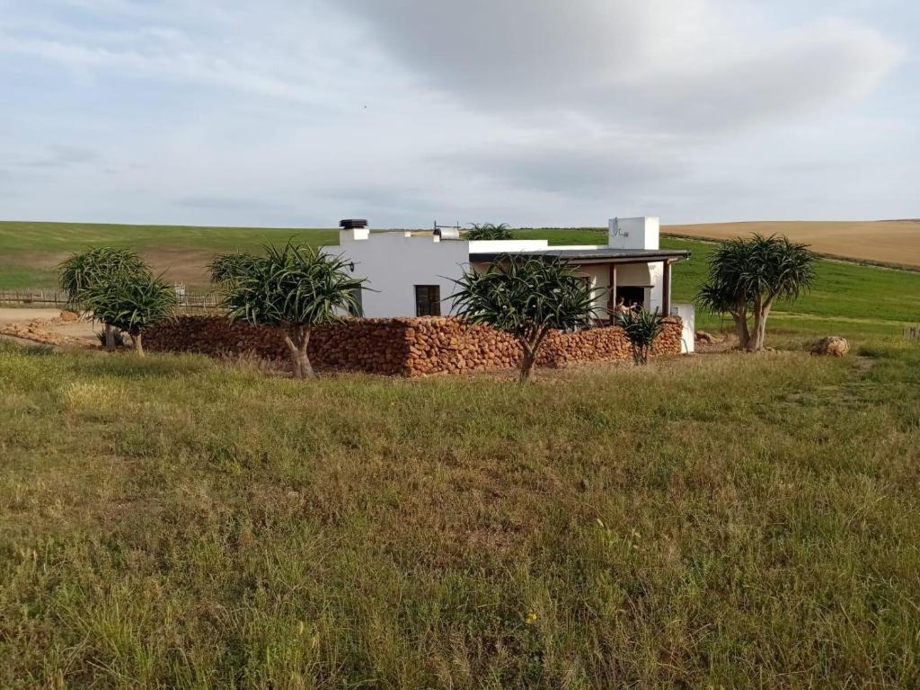 a house in the middle of a field at Aloe Cottage in Cloeteskraal